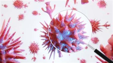 is coronavirus zoonotic